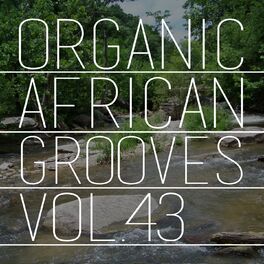 Album cover of Organic African Grooves, Vol.43