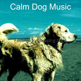 Album cover of Feelings for Sleeping Dogs