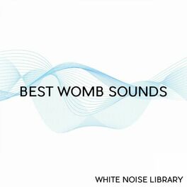 Album cover of Best Womb Sounds