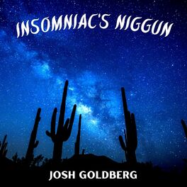 Album cover of Insomniac's Niggun