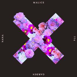 xx album cover tumblr