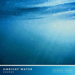 Album cover of Ambient Music & Water Sounds (Sleep & Relaxation)