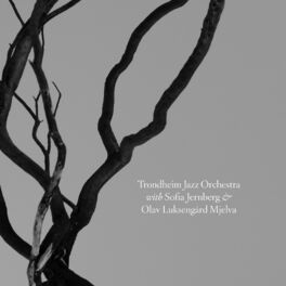 Album cover of Trondheim Jazz Orchestra with Sofia Jernberg & Olav Luksengård Mjelva