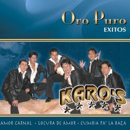 Album cover of Oro Puro: Exitos