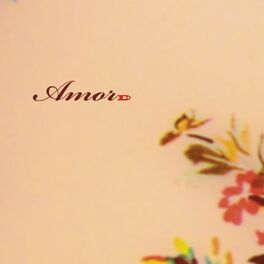Album cover of Amor D+