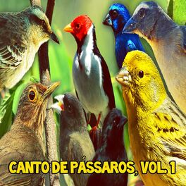 Album cover of Canto de Pássaros, Vol. 1