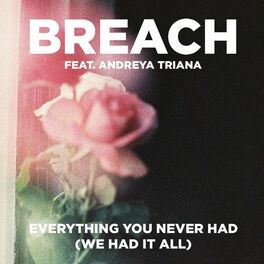 Album cover of Everything You Never Had (We Had It All) (feat. Andreya Triana)