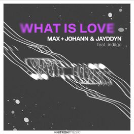 Album cover of What Is Love (feat. indiigo)