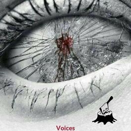 Album cover of Voices