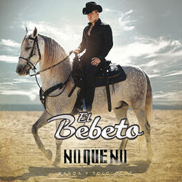 Album cover of No Que No (Banda Y Tololoche)
