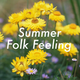 Album cover of Summer Folk Feeling