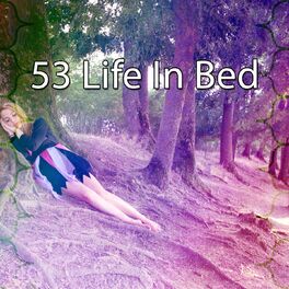 Album cover of 53 Life in Bed