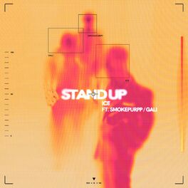 Album cover of Stand Up