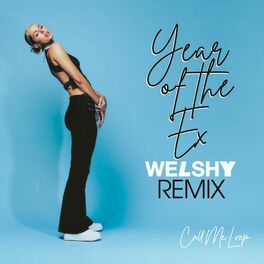 Album cover of Year of the Ex (Welshy Remix)
