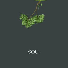 Album cover of Sou