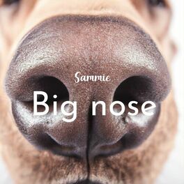 Album cover of Big nose
