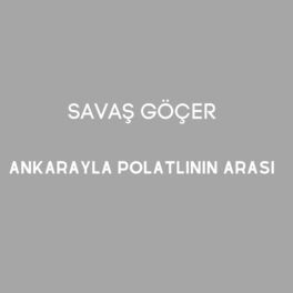 Album cover of Ankarayla Polatlının Arası