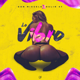 Album cover of Lo Vibro