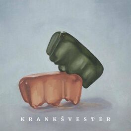Album cover of Švester je Istina