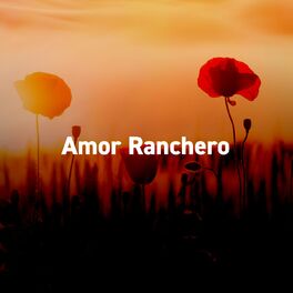 Album cover of Amor Ranchero