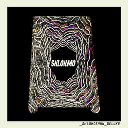 Album cover of Shlomoshun Deluxe
