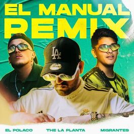 Album picture of El Manual (Remix)