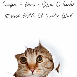 Album cover of Paix Haché Et Vissé PAR (feat. Sniper & Slim C)