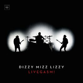 Album cover of Livegasm!