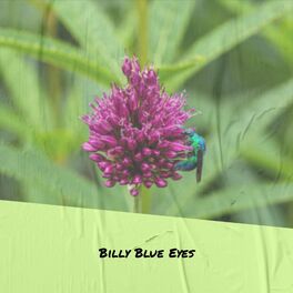Album cover of Billy Blue Eyes