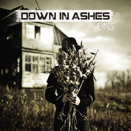 Album cover of Veins