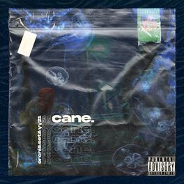 Album cover of Cane (feat. Set & Orchi)