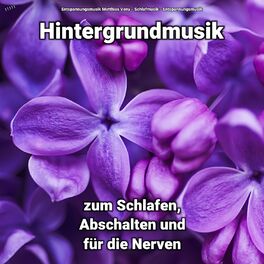 Album cover of ! ! ! ! ! Hintergrundmusik zum Schlafen, Abschalten und für die Nerven