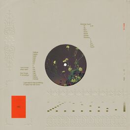 Album cover of Ceilings (Slowed + Reverb)