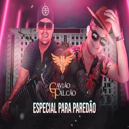 Album cover of Especial para Paredão
