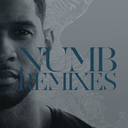 Album cover of Numb Remixes