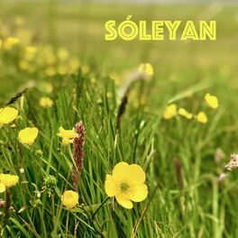 Album cover of Sóleyan