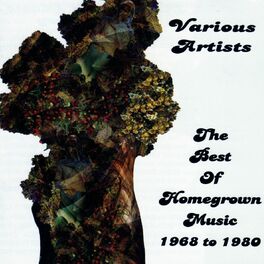 Album cover of The Best Of Homegrown Music 1968-1980