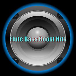 Album cover of Flute Bass Boost Hits