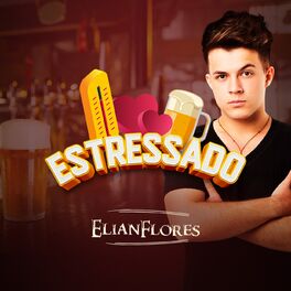 Album cover of Estressado