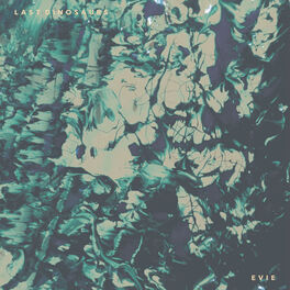 Album cover of Evie