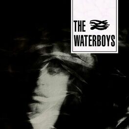 Album cover of The Waterboys