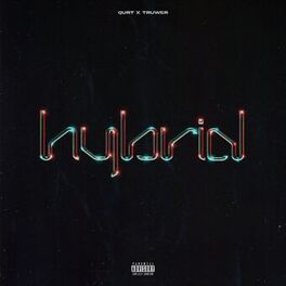 Album cover of HYBRID