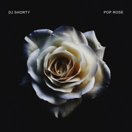 Album cover of Pop Rose