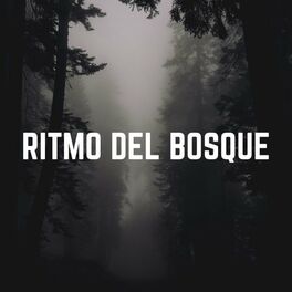 Album cover of Ritmo del Bosque