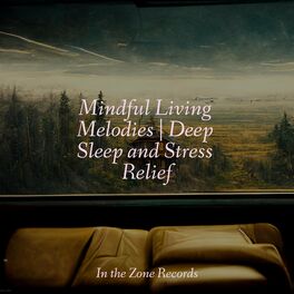 Album cover of Mindful Living Melodies | Deep Sleep and Stress Relief