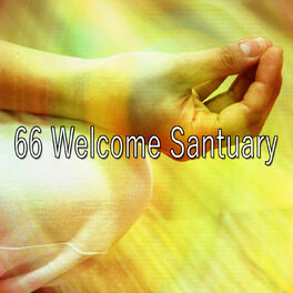 Album cover of 66 Welcome Santuary