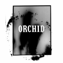 Album cover of Orchid