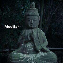 Album cover of Meditar