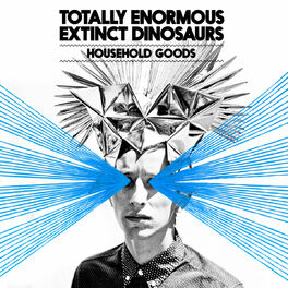 Album cover of Household Goods
