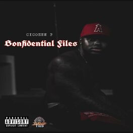 Album cover of Bonfidential Files